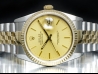 Rolex Datejust 36 Champagne Jubilee Crissy  Watch  16233